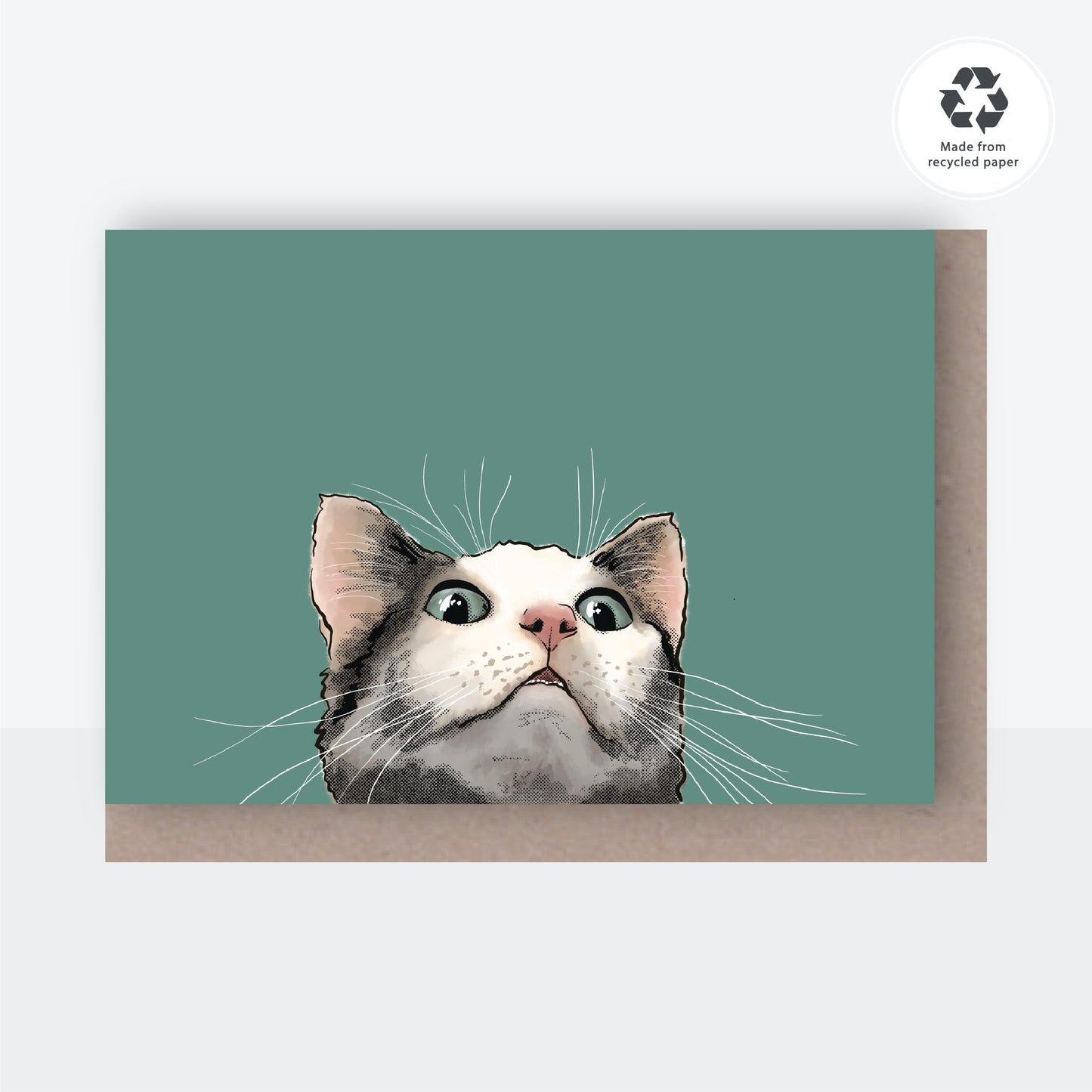 Curious Cat