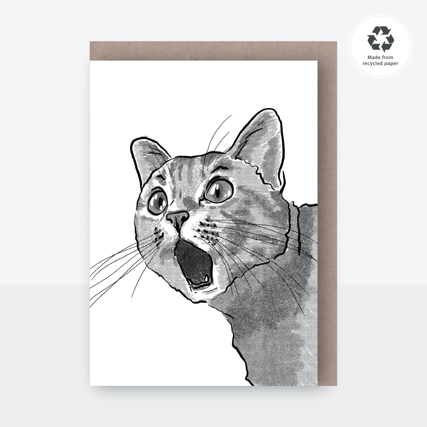 Shocked Cat