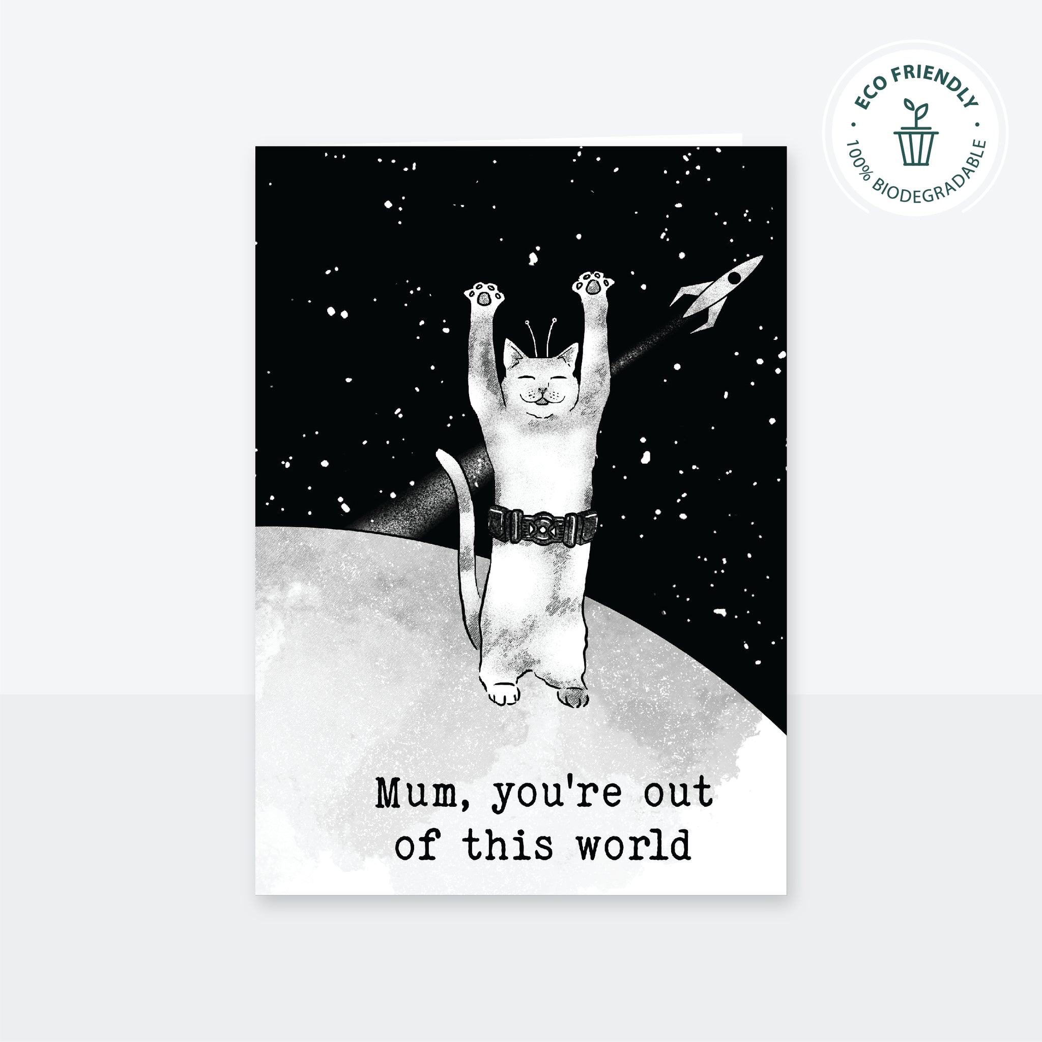 Out of this World - Cat Version