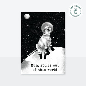 Out of this World - Dog Version
