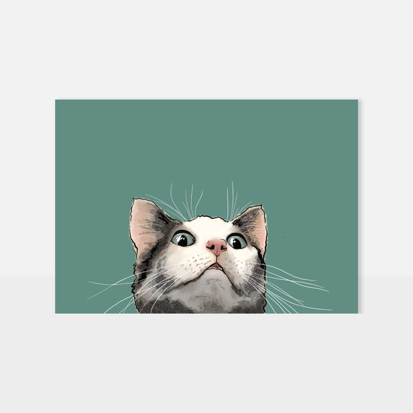 CURIOUS CAT