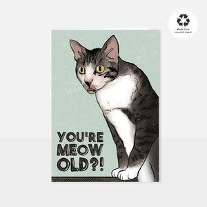 Meow Old?!